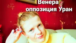 Венера оппозиция Уран космос внутри