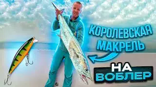 Рыбалка в Центре  Дубая!