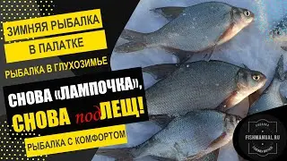 Рыбалка на подЛеща в глухозимье на затоне р.Иртыш. Рыба есть! Рыбалка в комфортных условиях!