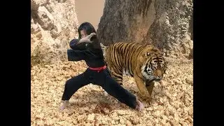 Pencak Silat Harimau Utara Part 2