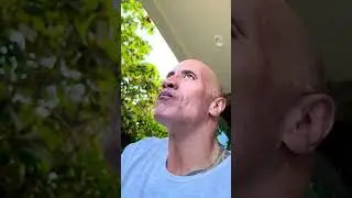 НОВЫЙ БАГ ОТ РАЗРАБОТЧИКОВ В БРАВЛ СТАРС!