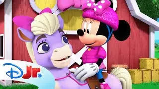 Minnies Bow-Toons: Camp Minnie 🎀🏕️ | The Pony Paddle | @disneyjunior​