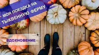 МОЯ ПОЕЗДКА НА ТЫКВЕННУЮ ФЕРМУ • То, что меня вдохновляет •