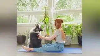 THE MOST TALENTED AND CUTEST DOGGO!!!