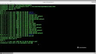 2 Vhost Files