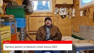 📕 Почему этой осенью так ослабли пчелиные семьи 📕