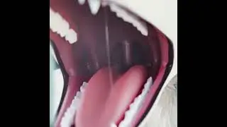 Legoshi Vore