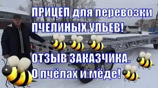 Прицеп для перевозки пчелиных ульев. Отзыв пчеловода. Пчеловодство в России
