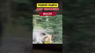 🚨ПОГОНЯ, от которой точно НЕ УБЕЖИШЬ🤯