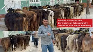 Qirg’iziston paroda buqachalarini Ramazon hayitiga aksiya qildi Ismoil aka.