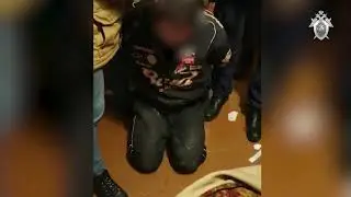 Во Владимирской области спасли 7-летнего мальчика, который пропал 2 месяца назад.