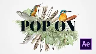 Pop On Collage in Adobe After Effects