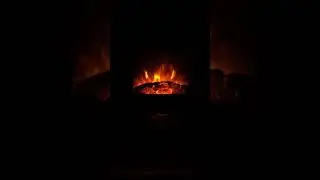 Осенний вайб 