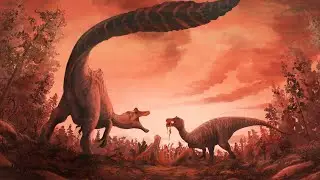 What Was Life Like During The Cretaceous Period?