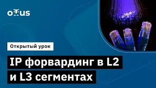 IP форвардинг в L2 и L3 сегментах // Демо-занятие курса «Специализация Network Engineer»