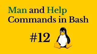 Man and Help Commands in Bash Shell || Linux CLI