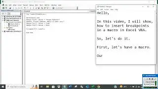 Insert Breakpoints in a macro in Excel VBA