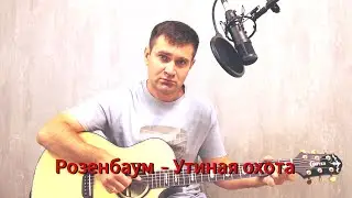 Розенбаум А.Я.  Утиная охота (cover by Ульянов Артем)