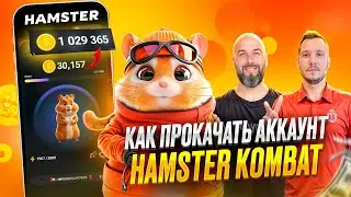 HAMSTER KOMBAT - КАК ПРОКАЧАТЬ АККАУНТ / КОМБО КАРТОЧКИ / КОГДА ЛИСТИНГ?