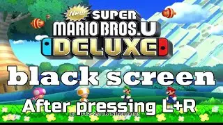 NSMBU Deluxe black screen After pressing L+R on the title screen