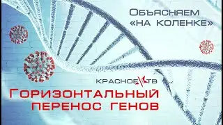 Объясняем на 