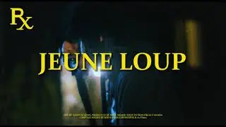 Jeune Loup - RX