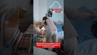Будни самой лучшей медицины в мире, где ночь начинается с поиска клопов 