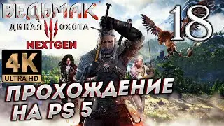 Обновленный Ведьмак 3: Дикая Охота на PS5 в 4К # 18 ✦СТРИМ ПРОХОЖДЕНИЕ✦