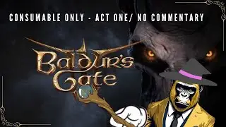 Baldur gate 3 Act One - Consumables Only / Test Run #1.