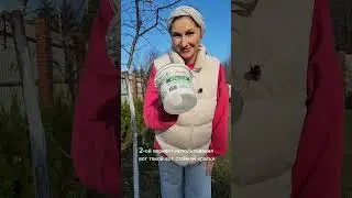 3 варианта защиты деревьев от морозобоин  