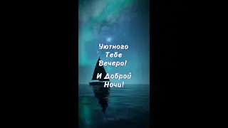 Уютного вечера! Доброй ночи!