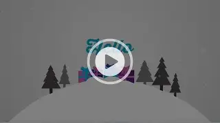 Kerst- en nieuwjaarswensen Docspro | 2020