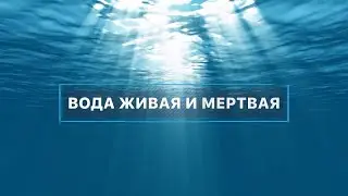 Вода живая и мертвая. Вместе с наукой