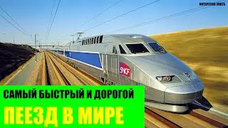 Самый быстрый и самый дорогой поезд в мире