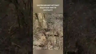 Video of the assault following the link ☝️