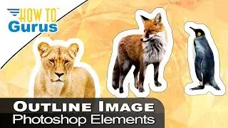 How You Can Outline or Cut Out an Image in Photoshop Elements