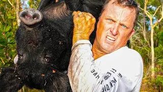 Trapping Wild Boars in Florida! (Fixing the Wild Hog Problem)