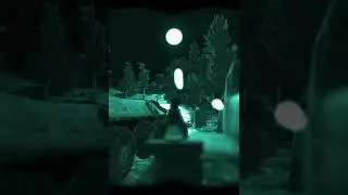 Why is night raid so fun in Stalker Anomaly. 