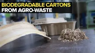 Bio-lutions - Agricultural Waste to Biodegradable Cartons & Tableware