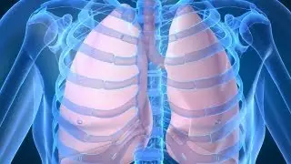 Respiratory System  for Kids (Breathing) by www.makemegenius.com
