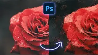 Incredible Paintings - Photoshop Tutorial