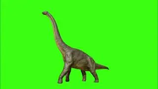 Green screen | Dinosaur | Animation | Footage | Download | №161