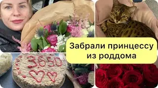 Забрали принцессу из роддома 😘-приятные хлопоты