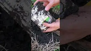 this HDD has been underground for 6 MONTHS 