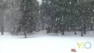 10 mins of snowfall | Relaxing video | Pleasant snow sounds 10 mins of snowfall