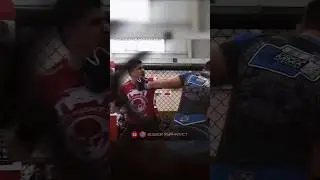 ВЫРУБИЛ с ПЕРВОГО УДАРА! Нокаут на Кубке Губернатора по ММА в Чите.Смотри сюжет на канале 