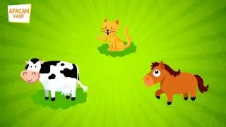 Cute Friends, Do You Know Domestic Animals? | Afacan Discoverer