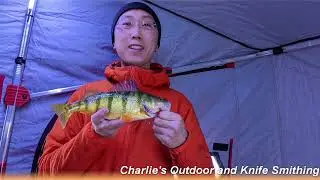 Lake Simcoe, Cook's Bay Ice Report and Ice fishing - 2022 Jan. 23th