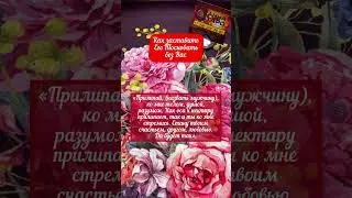 ЗАГОВОР НА ТОСКУ 
