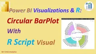 Power BI Advanced Visualizations: Circular BarPlot with R Script Visual